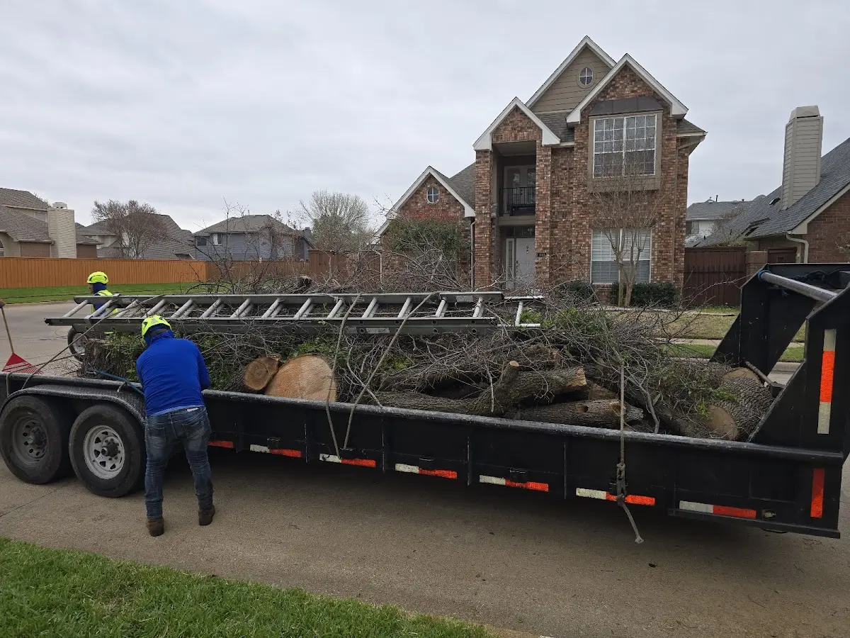 Expert Tree Fertilization with proper safety equipment in Erwin